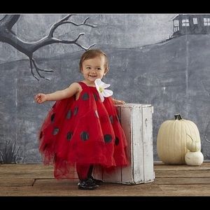 Pottery barn halloween costume ladybug